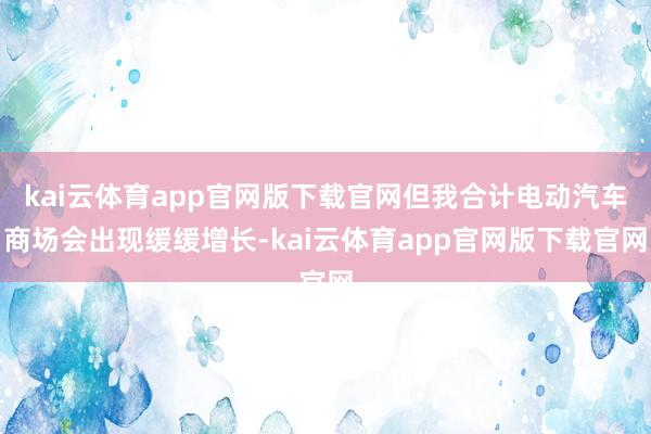 kai云体育app官网版下载官网但我合计电动汽车商场会出现缓缓增长-kai云体育app官网版下载官网